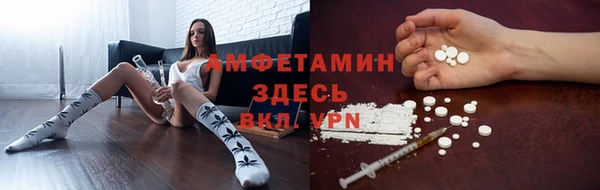 трава Балахна