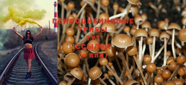 трава Балахна